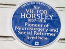 Horsley, Victor (id=542)